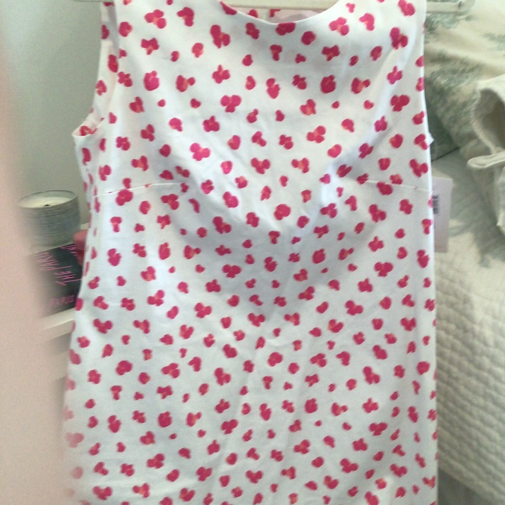 Tuckernuck New Persifor Sleeveless Dress